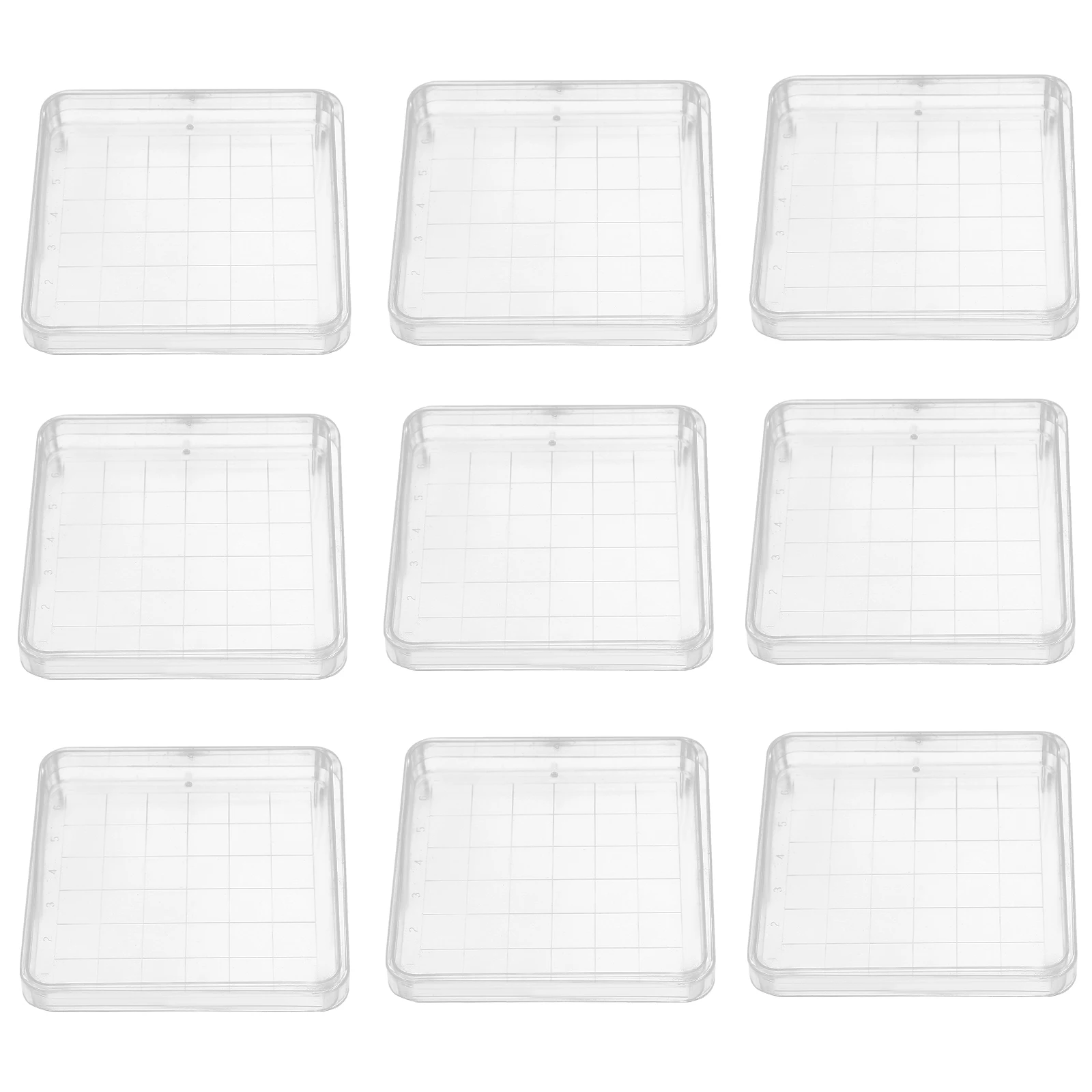 

10pcs Laboratory Petri Dish Culture Plates Plastic 10x10 Square Lid Biology Chemistry School Science Microbiology