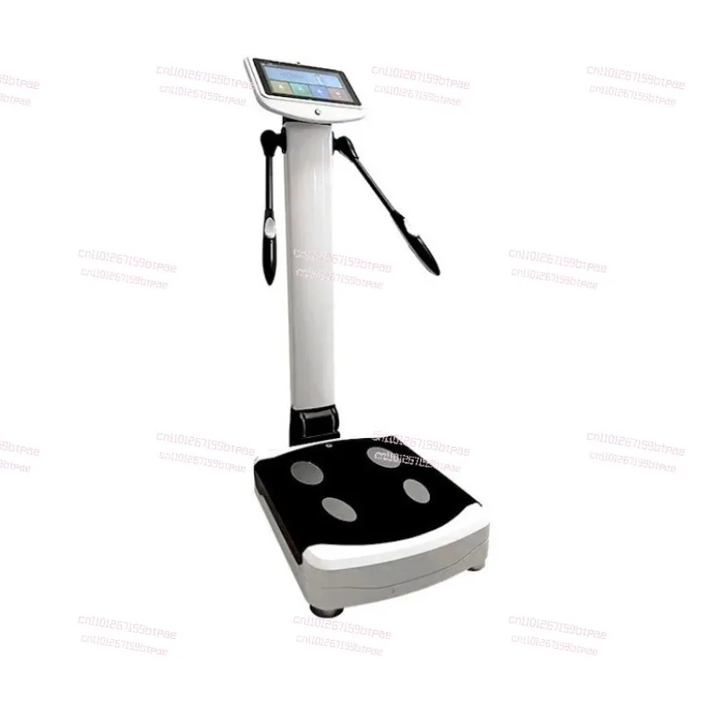 Body Measurement Instrument Commercial High-Precision Body Fat Scale Gym Electronic Scale