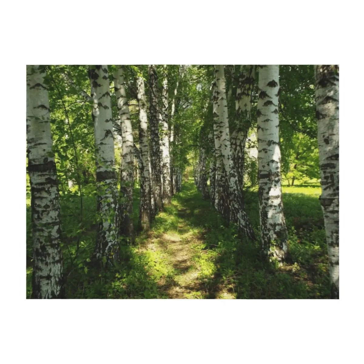 

birch forest Throw Blanket Thin Furry Baby For Decorative Sofa Blankets