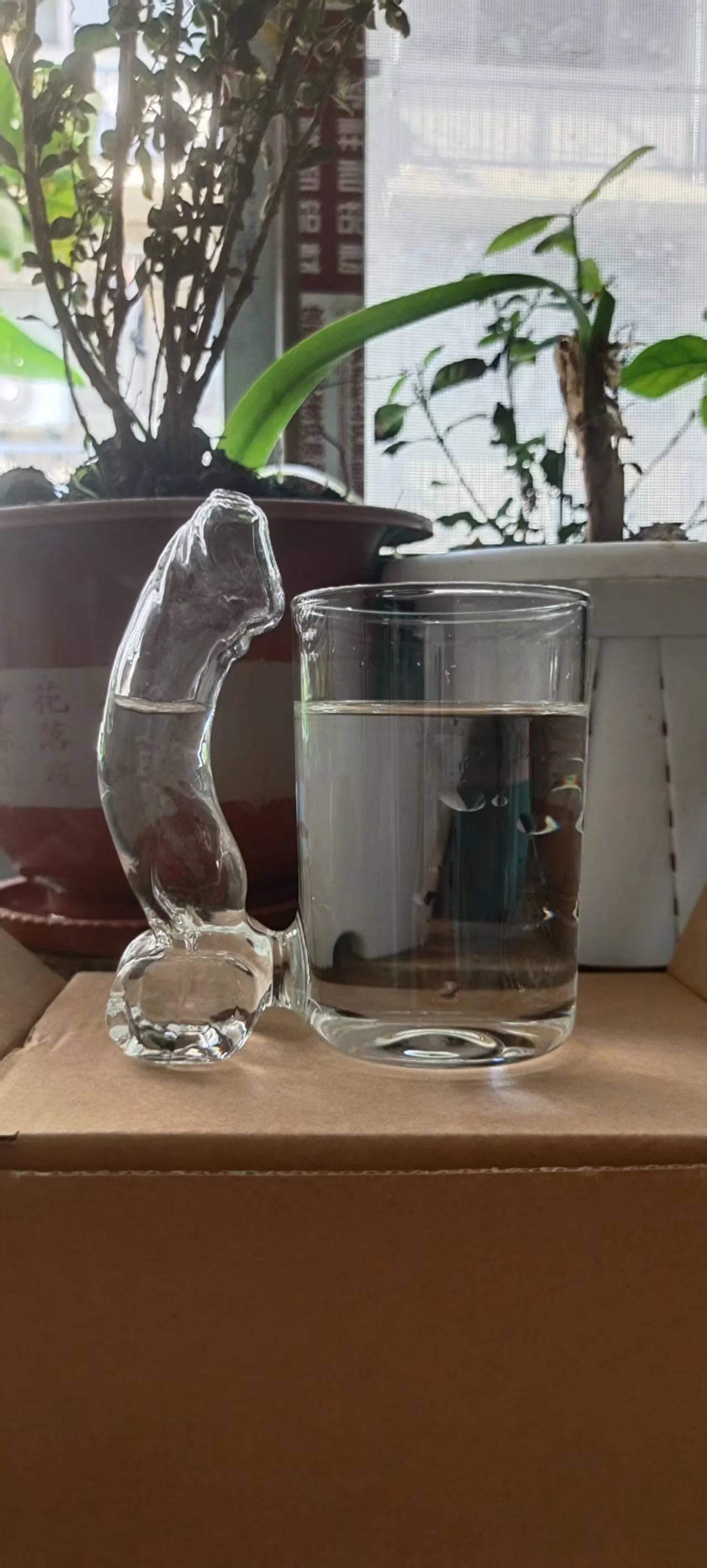 Creative Dolphin Handle Transparent Glass Cup, Thick Bottom Tumbler for Iced Beverage Lemonade Beer Beach Bar Table Decor - view 2