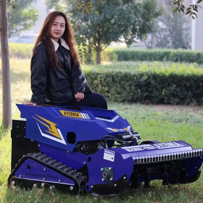 Customized Robot La…