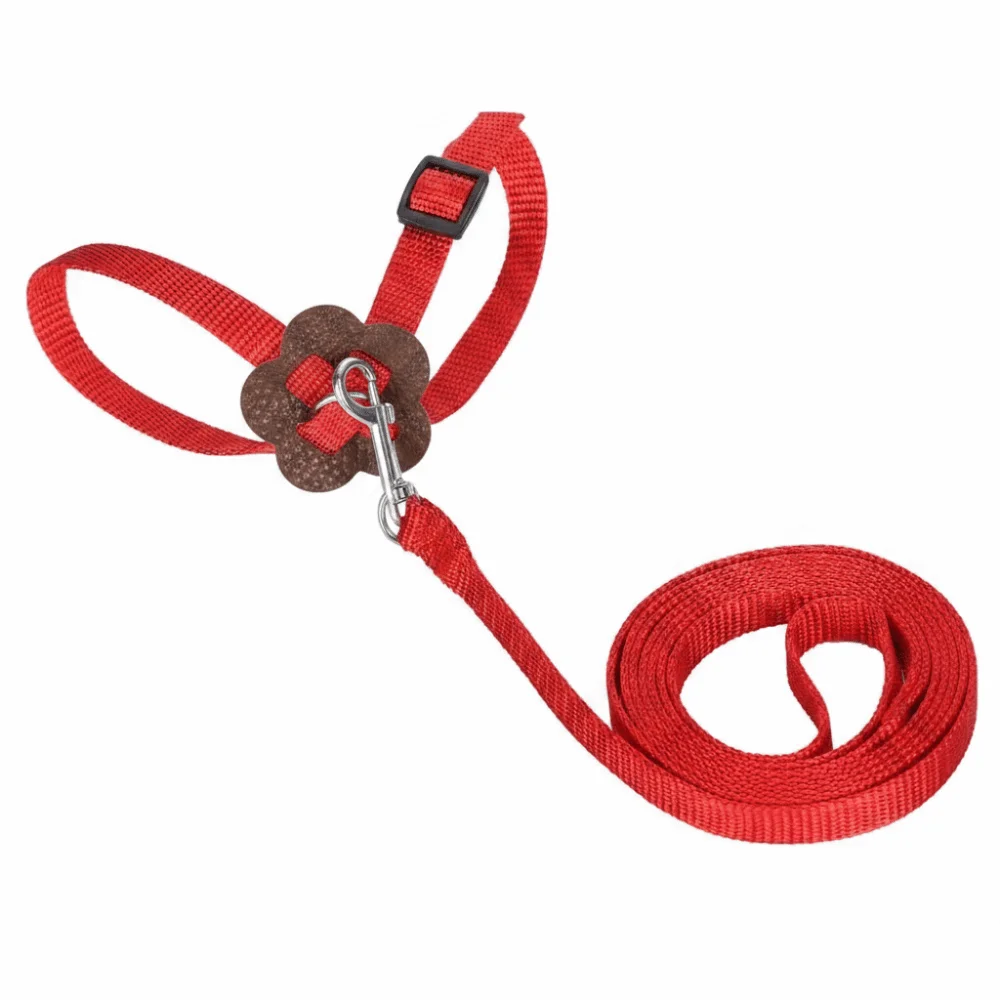 Adjustable Bird Harness Leash 120cm Length Wing Design Parrot Leash Cute Wing Nylon Material Bird Flying Harness Outdoor Flying