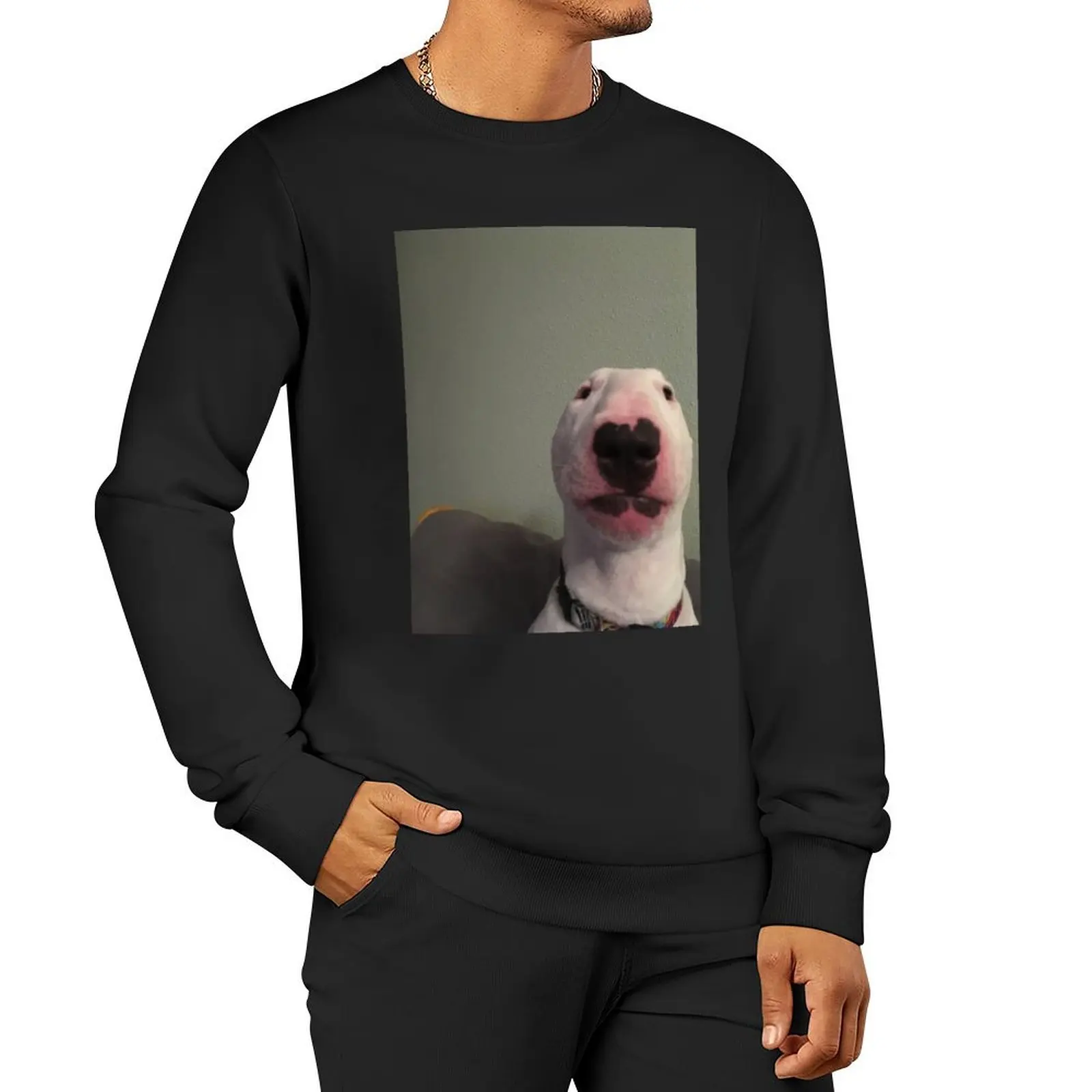 

@PupperNelson: Walter Original Sweatshirt male clothes blouse hooded sweatshirt for men