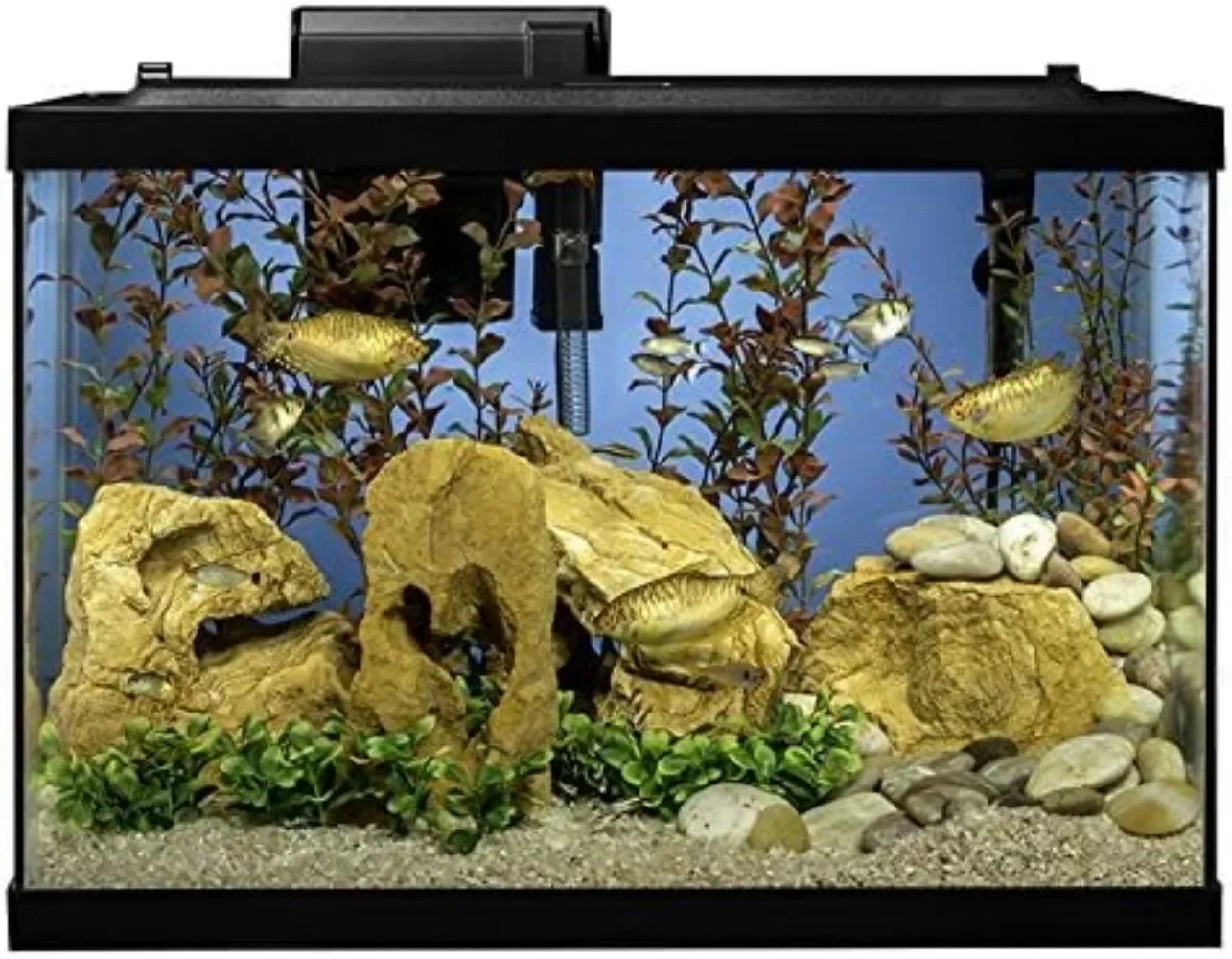 Imagem -03 - Aquarium Fish Tank Kit com Iluminação Led e Decoração 20 Galões