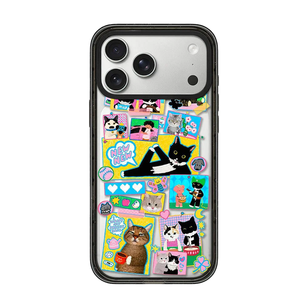 

6030770 Acrylic / Mirror Magnetic Case: Compatible with IPhone 17 16 15 14 13 12 Pro Max 17 Air
