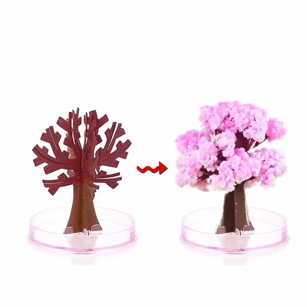 1PC Magically Paper Sakura Crystal Trees Magic Growing Tree Japan Desktop Cherry Blossom Educational Toys Novelties