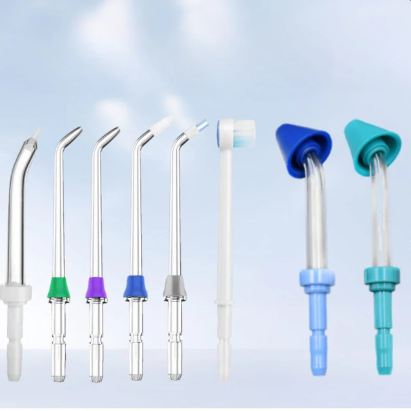 Daily Cleaning Orthodontic Plaque Periodontal Pockets Tongue Scraping Irrigator Water Flosser Professional Replacement Head