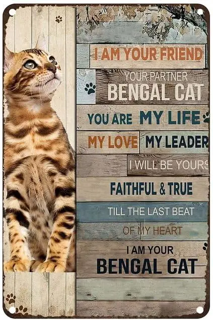Bengal Cat I Am Your Friend Your Partner Your Bengal Cat Vintage Metal tin Sign Art Plaque Wall Decor Look Funny Gifts for Home