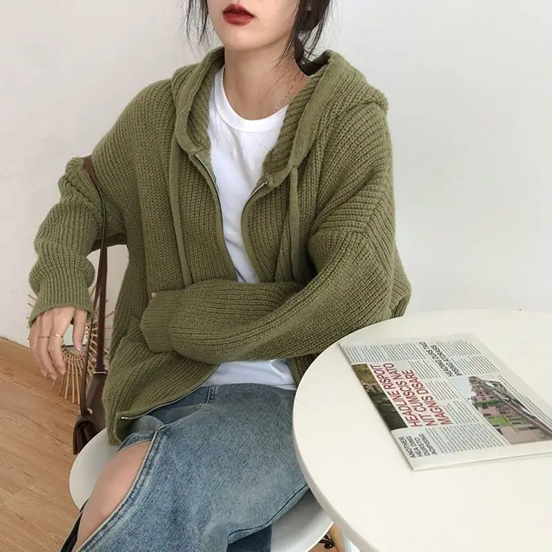 Loose Plus Size Women's Retro Hooded Versatile Lazy Style Niche Age Reducing Zipper Top