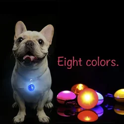 Collar de linterna LED para mascotas, luces de guía de seguridad nocturna para perros y gatos, colgante brillante, Collar luminoso para mascotas sin batería