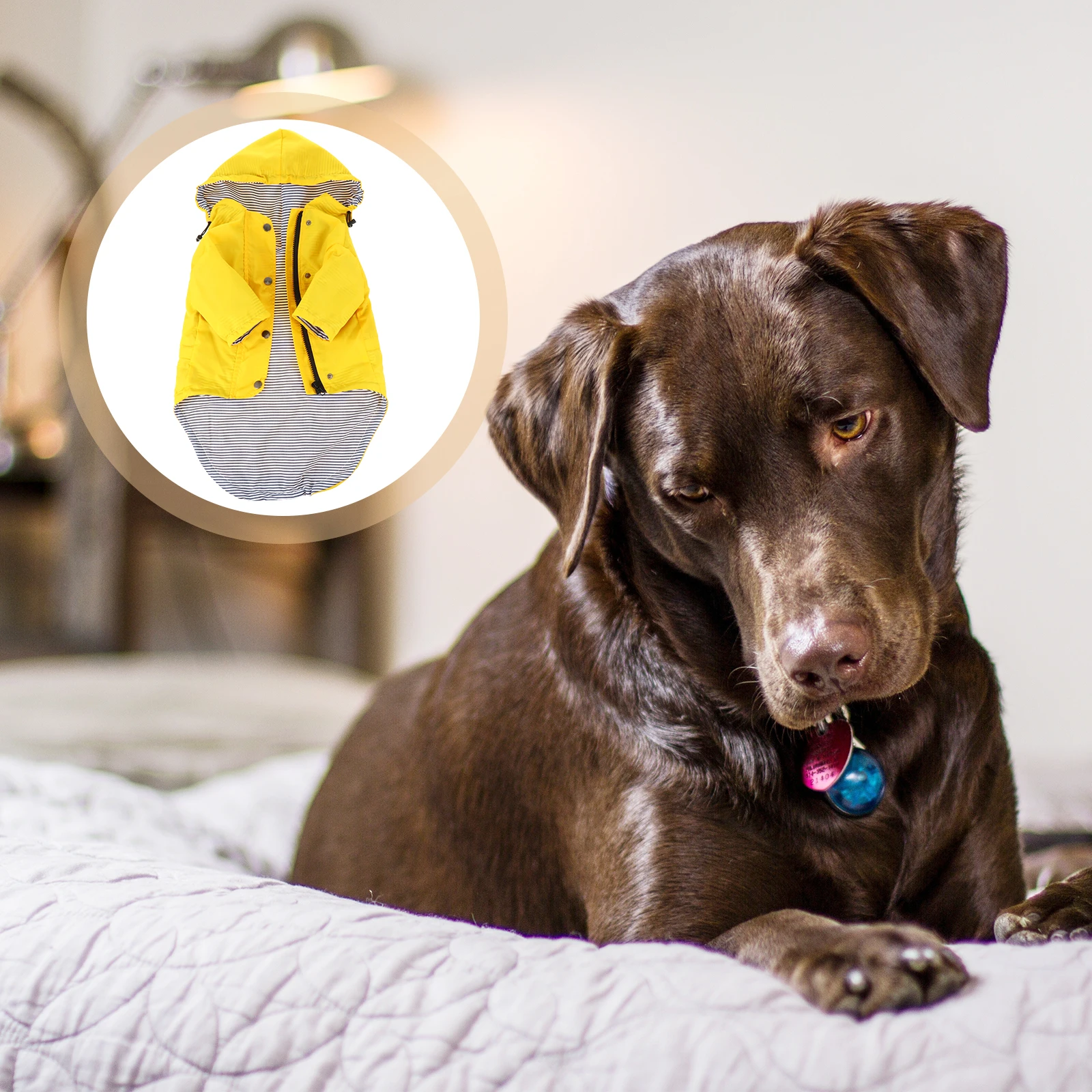 

Dog Raincoat Useful Apparel Water Proof Pet Hooded Raincoats Polyester Gear Puppy