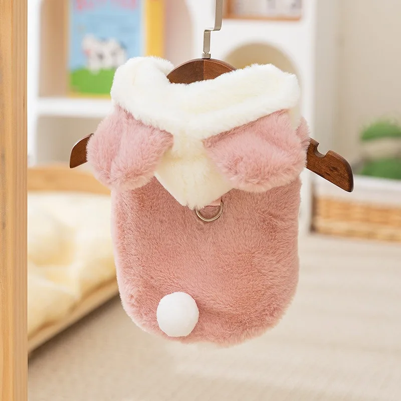 Autumn and Winter Ins Style Dog Clothes Cute Bear Two Legs Fleece Coat Thickened Warm Winter Teddy Pet Clothes Puppy Coat