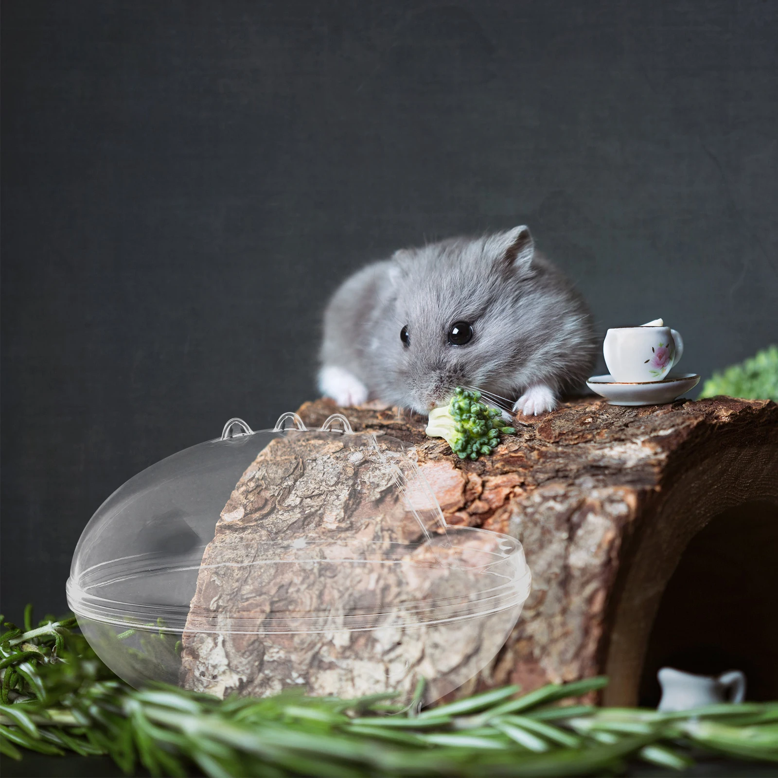 

Hamster Clear Sand Bath Box Small Pet Bathtub Chinchilla Gerbil Dust Bath Bathroom Accessories Hamster Sand Bathroom