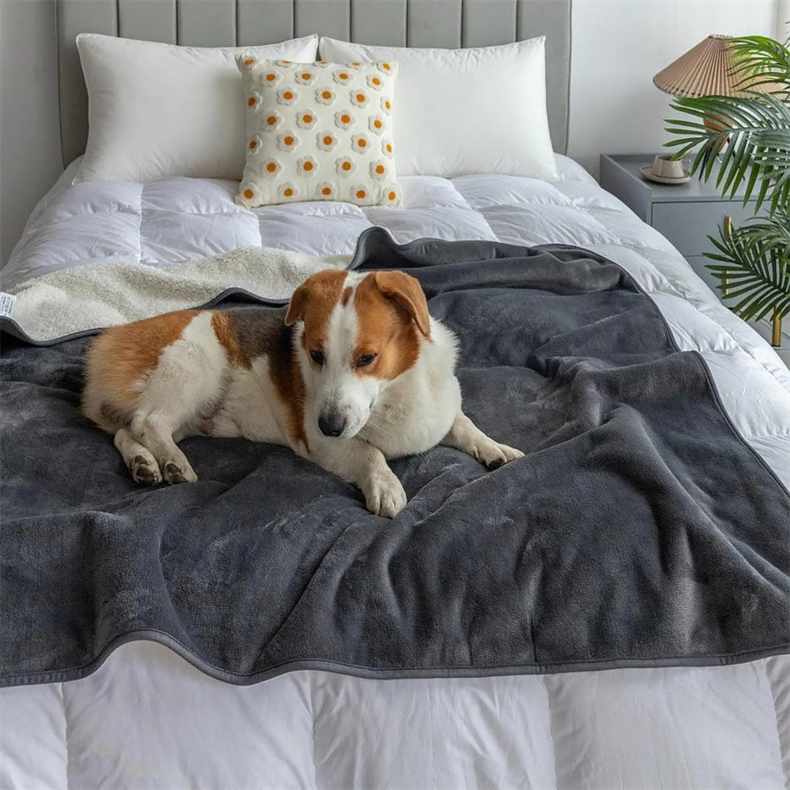 

Puppy Blanket Warm Furniture Protector Pet Couch Cover for Pet Crate Travel Beach