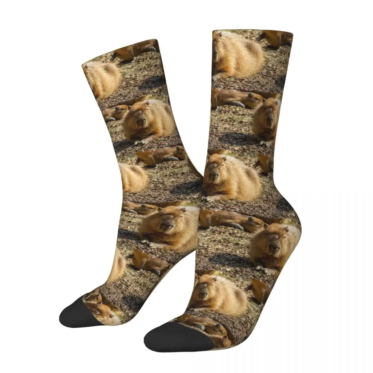 Male Capybara Face Socks Harajuku Sweat Absorbing Stockings All Season Long Socks Accessories for Unisex Gifts