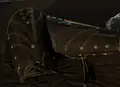 arm
