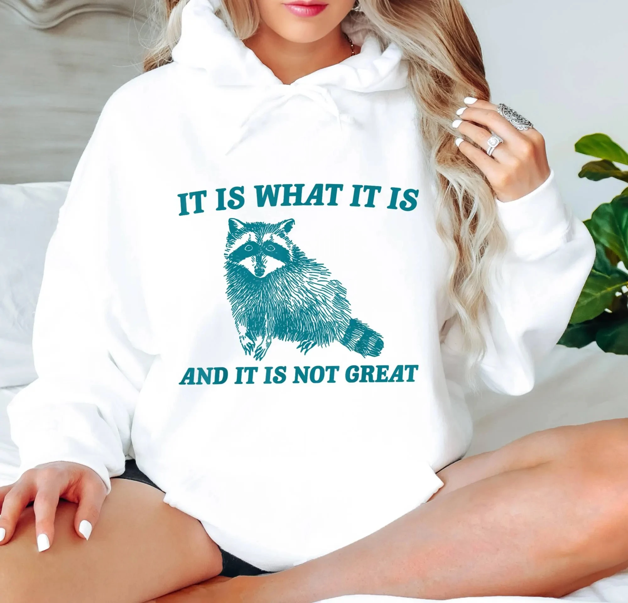 

Толстовка с капюшоном It Is It Is Not Great, женская толстовка с длинными рукавами, пуловеры, топы унисекс, осенне-зимняя одежда, уличная одежда