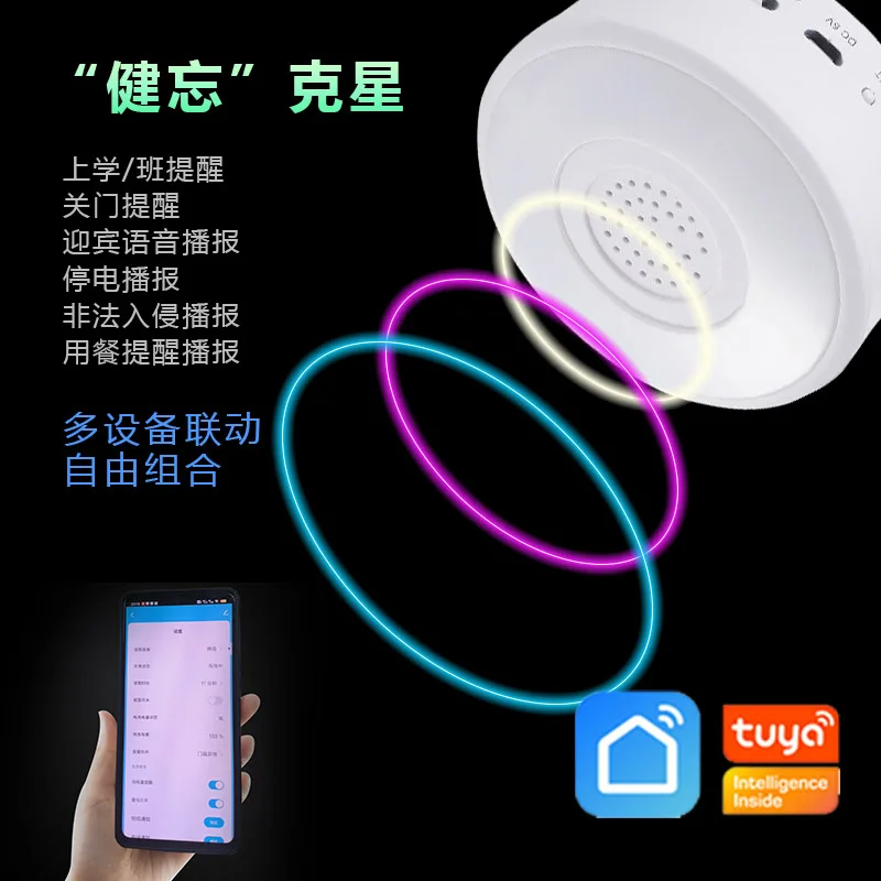 

Graffiti intelligent voice announcer home reminder anti-theft safety device wireless remote mobile intelligent control