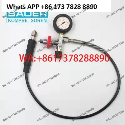DAVV hot-selling German Baohua high-pressure inflation valve 300bar can be filled with 12L breathing bottle  gauge connector view 2