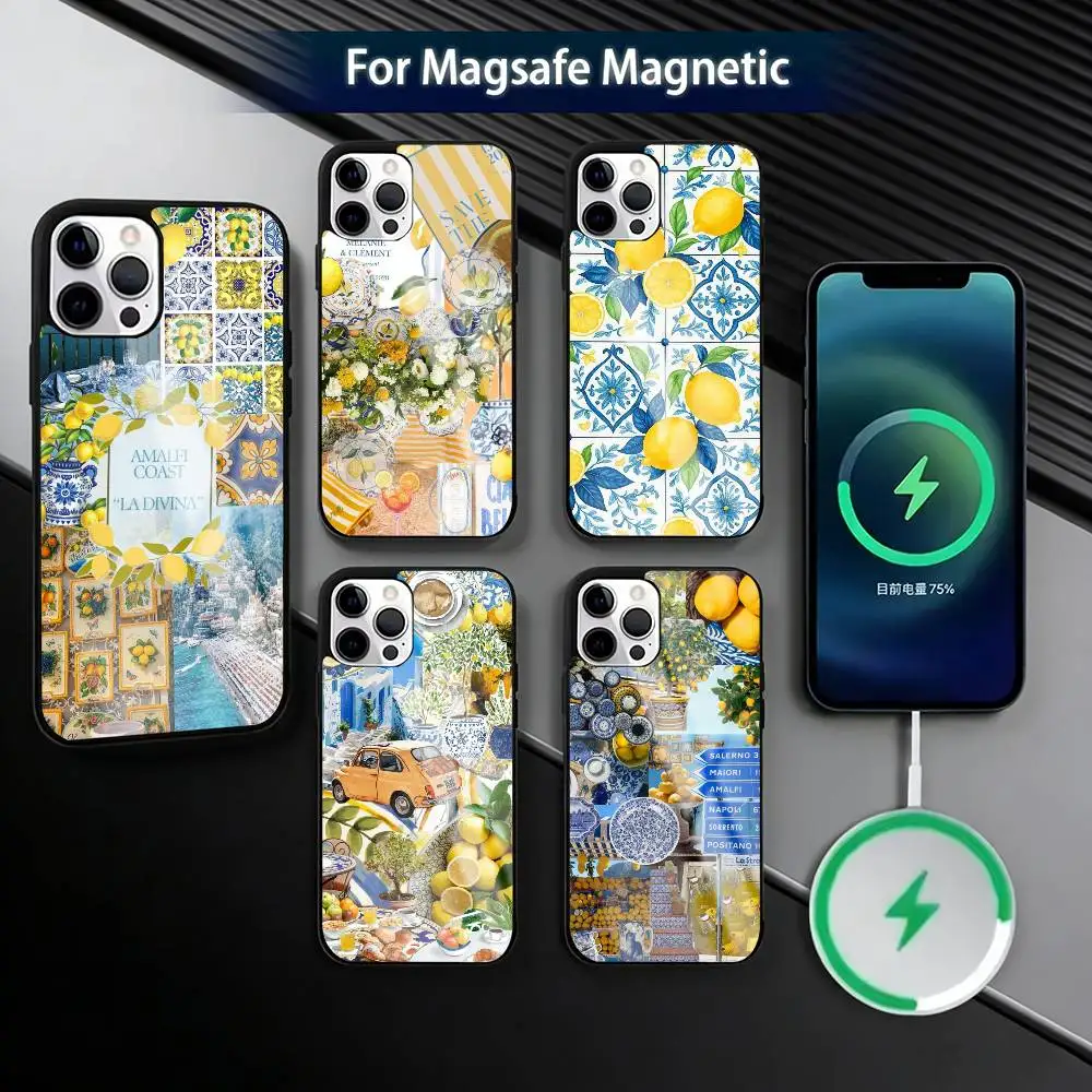 

E-European A-Amalfi Coast L-LemonS Phone Case For iPhone17,16,15,14,13,12,11 Plus,Pro Magnetic For Magsafe Wireless Charging