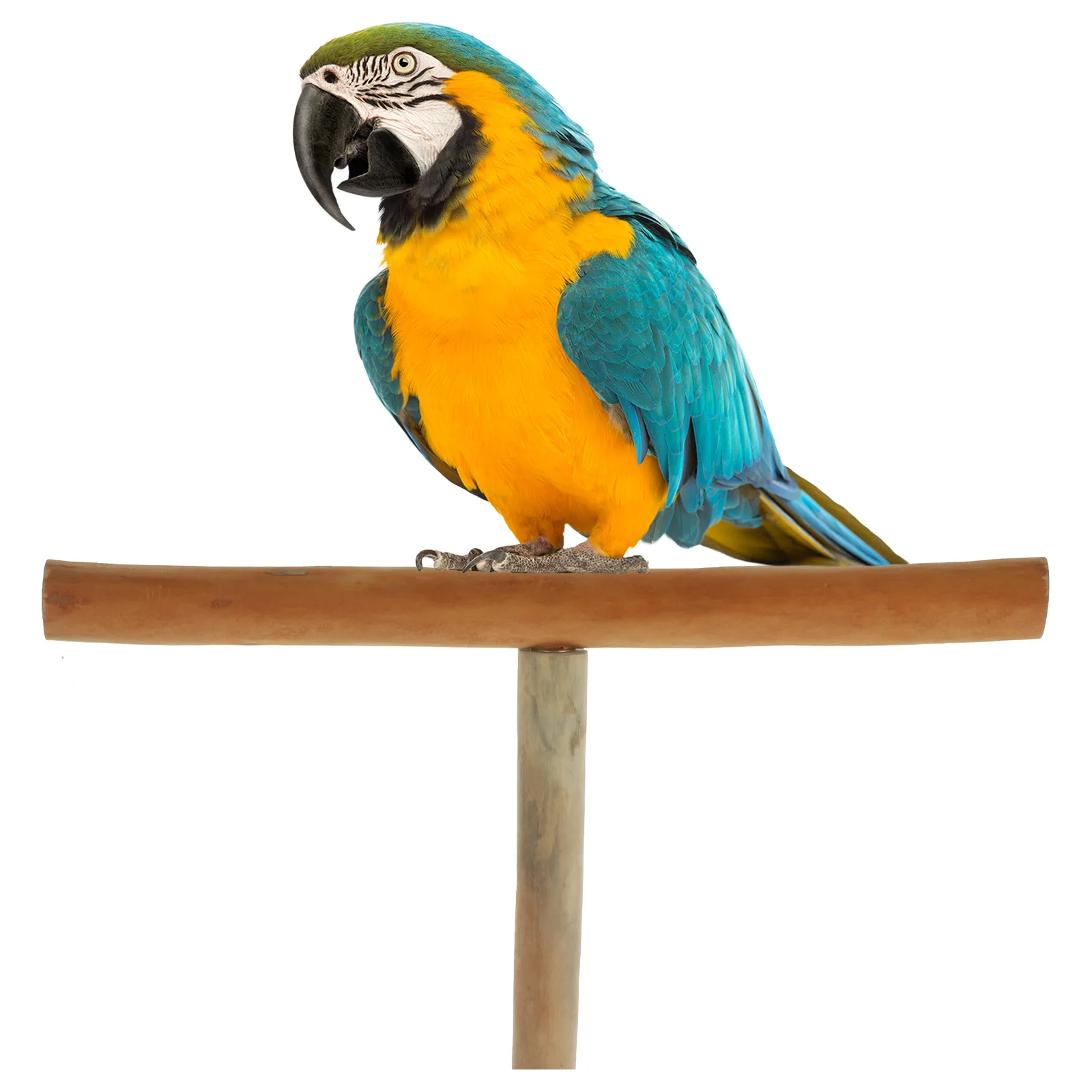 

T shaped Perch Durable T Shaped Parrot Toy Wooden Bird Toy St Wear resistant Cockatiel Accessory Household Pet Cage Decor