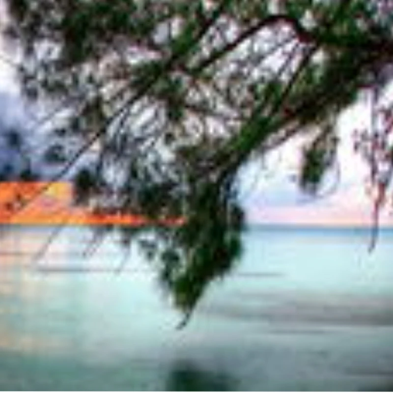 

KST DS125MG 7KG 6V High Torque Metal Gear Digital Servo for Fixed-wing FPV Drone UAV Helicopter Airplane RC Models