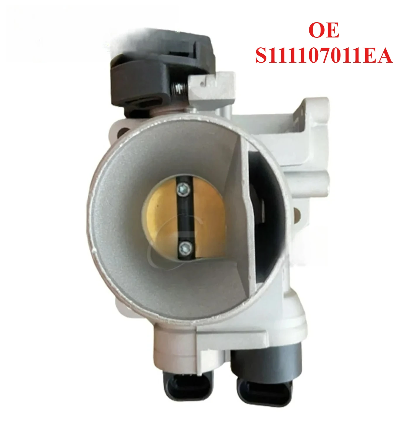 

High Standard Quality Inspection of Throttle Body S111107011EA