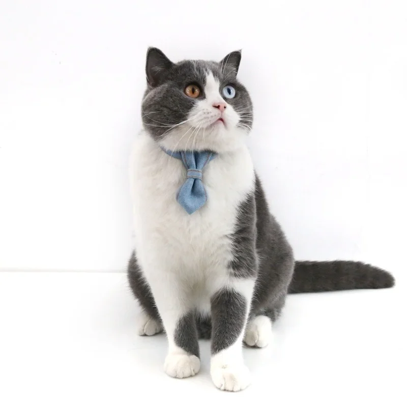 Pet Denim Bow Tie Cat Dog Collar Adjustable Neck Tie Collar Rabbit Bell Bow Tie Denim Bow Pet Accessories for Cat Kitten Dogs