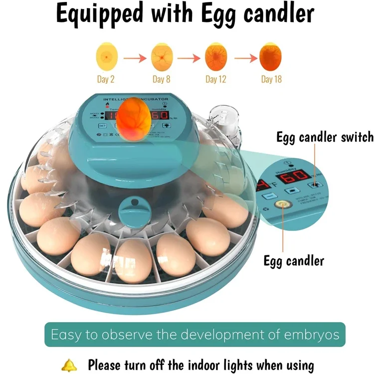 Newest Mini Incubator 30 Eggs Automatic Egg Incubator Dual Power