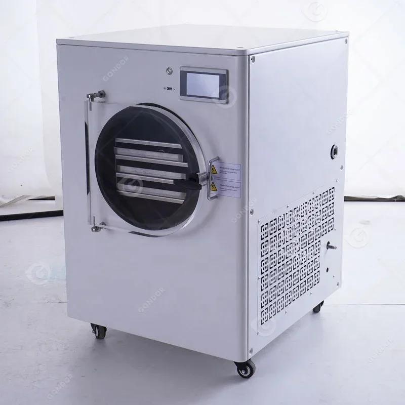 Candy Vacuum Drying Lifilizador Small Household Drying Mini Machine Freeze Dryer Food Refrigeration Equipment