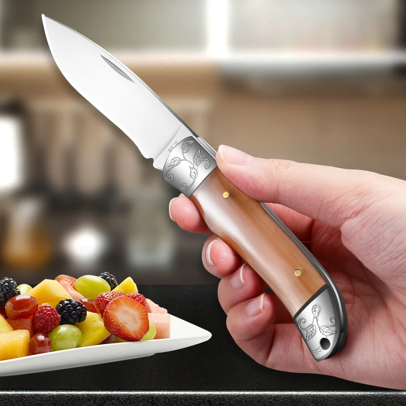 1pc Home Fruit Water Folding Knife, Portable Multi-Use Pocket Knife Barbecue Knife Sharp Stainless Steel Knife