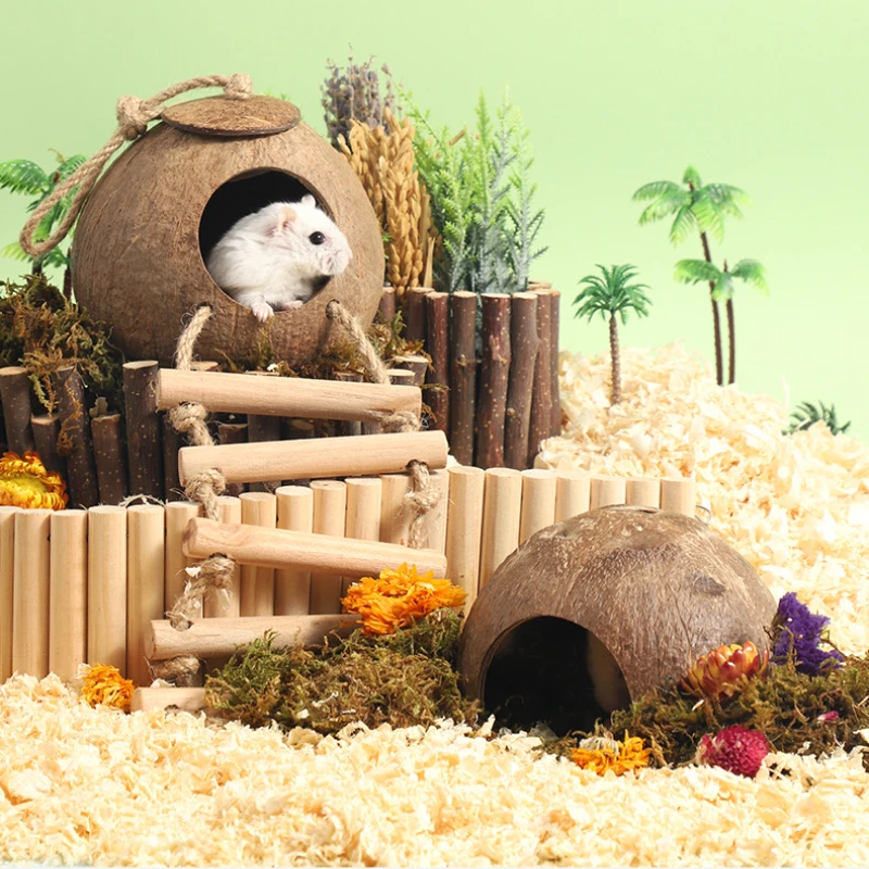 Thumbnail 4 - #19 Latest Hamster Houses Offers