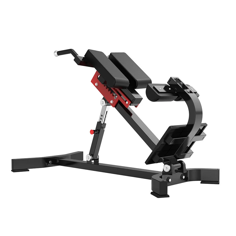 Stylish High Standard Home Or Gym Use Roman Chair Back & Abdominal Muscle Extension Exercise Bench For Flexibility Training