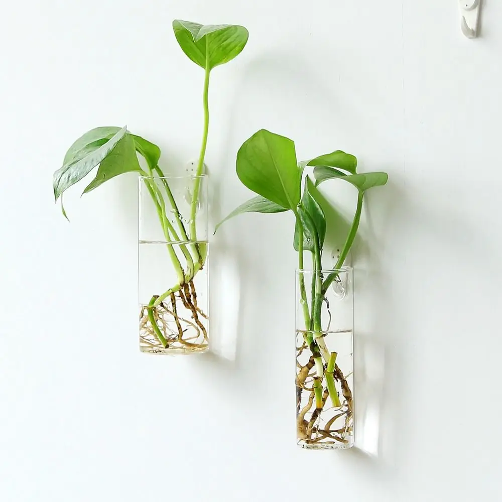النباتات المائية الحائط خزان الأسماك الحرف الزجاجية ديكورات المنزل زهرة زهرية المائية زهرية اناء للزهور حاوية النبات #1