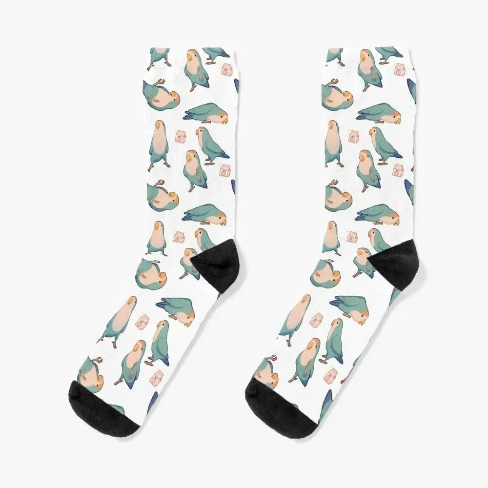 Playful blue lovebirds Socks floor FASHION Socks For Men Women's