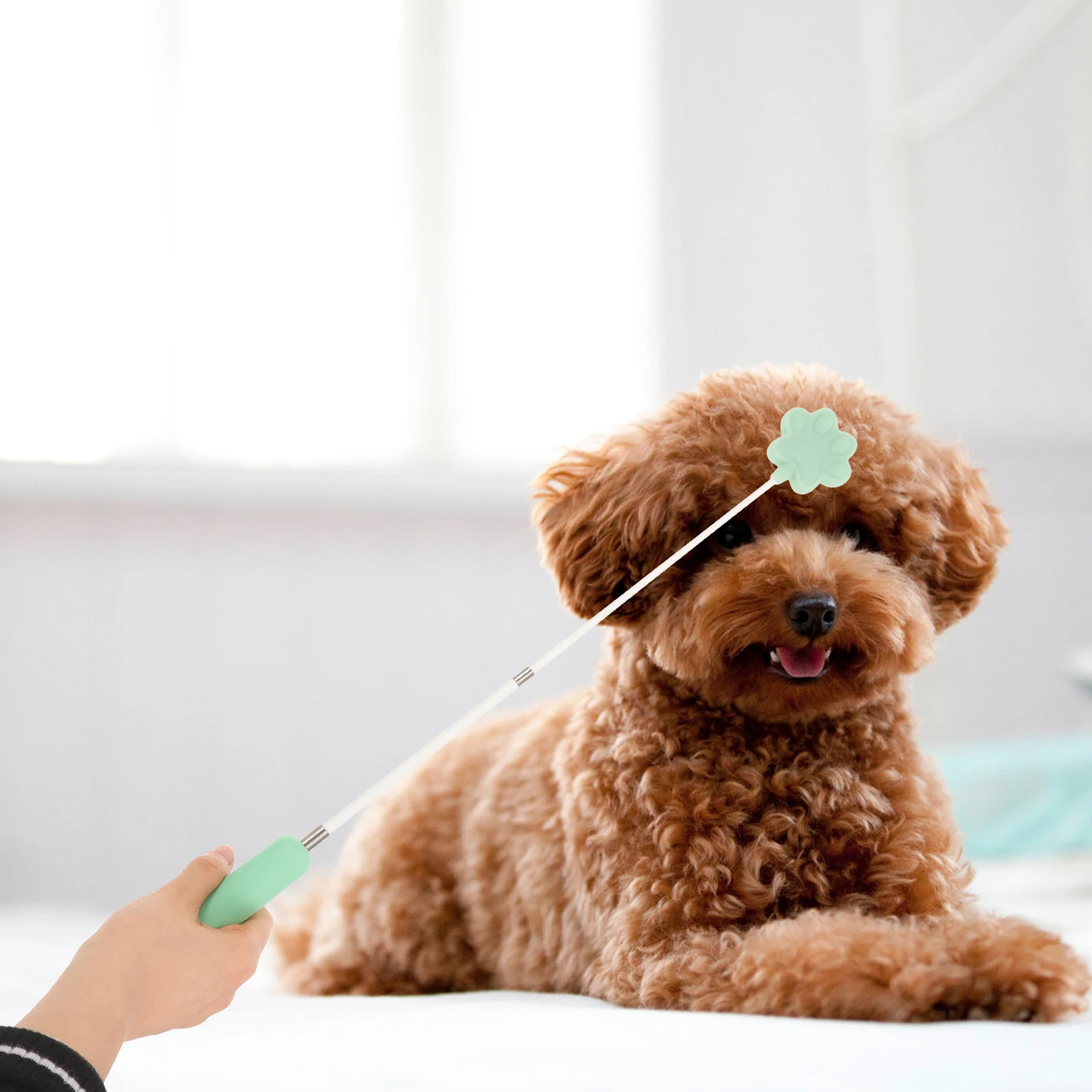 

Pet Dog Training Stick Bright Color Durable Safe Interactive Bond Strengthening Tool Puppy Training Beat Supplies