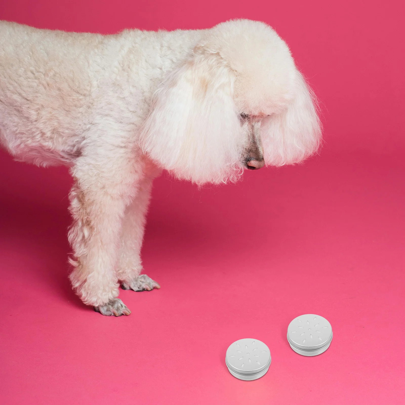 

10pcs Scent Tool For Dogs Dog Nose Training Holder Sniffle Box Aroma Case Metal Tins Lids Odor Training Kit Dog Supplies