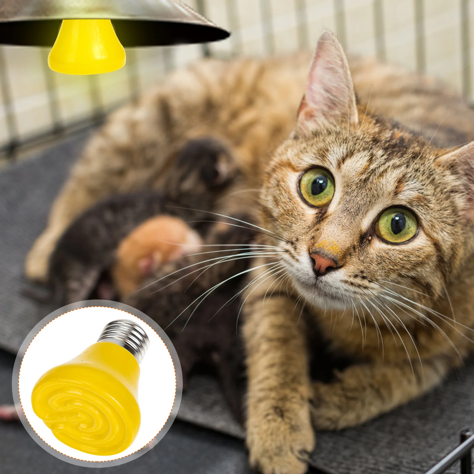 الزواحف مصباح الحرارة لمبة السيراميك E27 قاعدة التدفئة باعث الزواحف لوازم E27 قاعدة التدفئة باعث لمبة