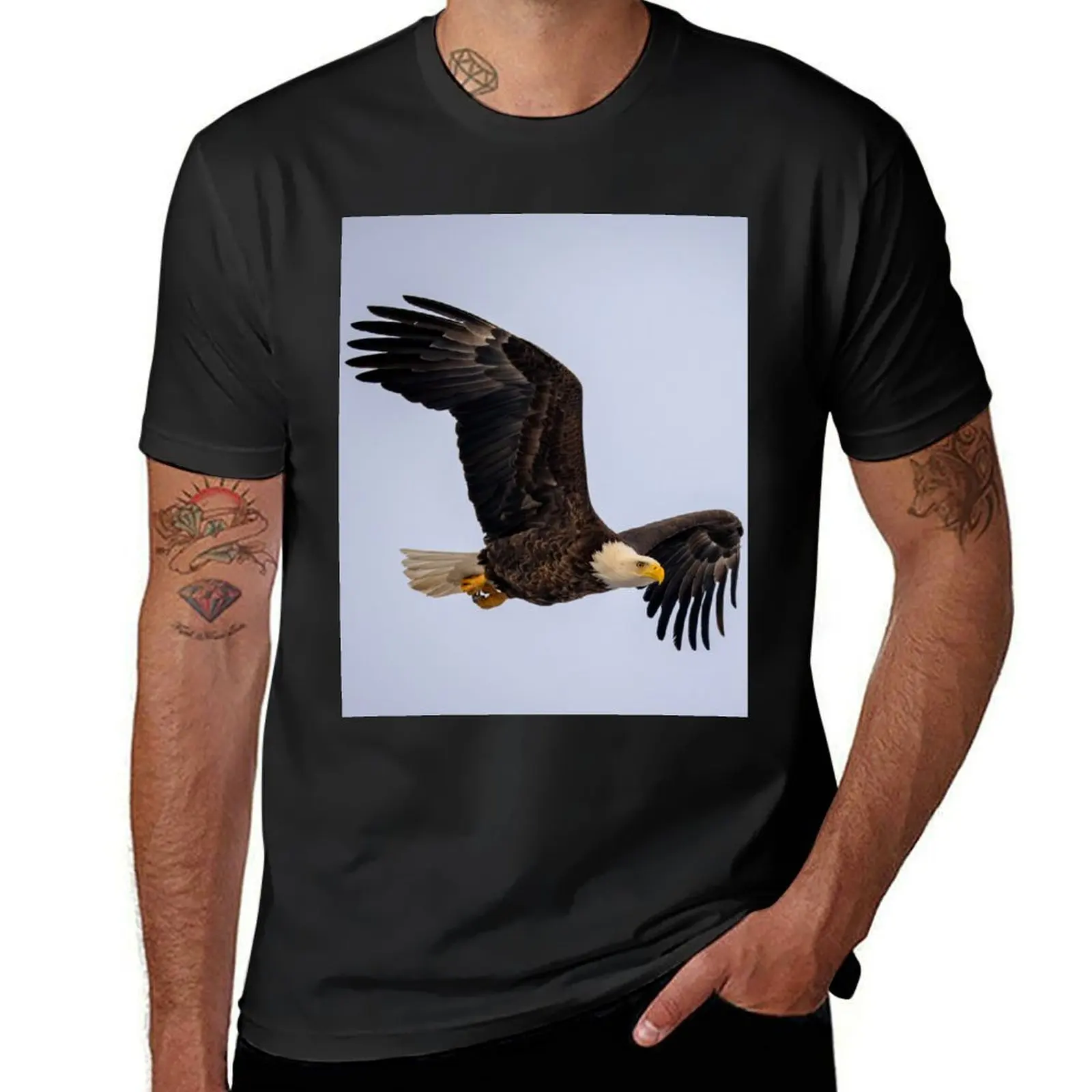 bald eagle T-shirt sweat boys whites cute clothes quick-drying men clothes