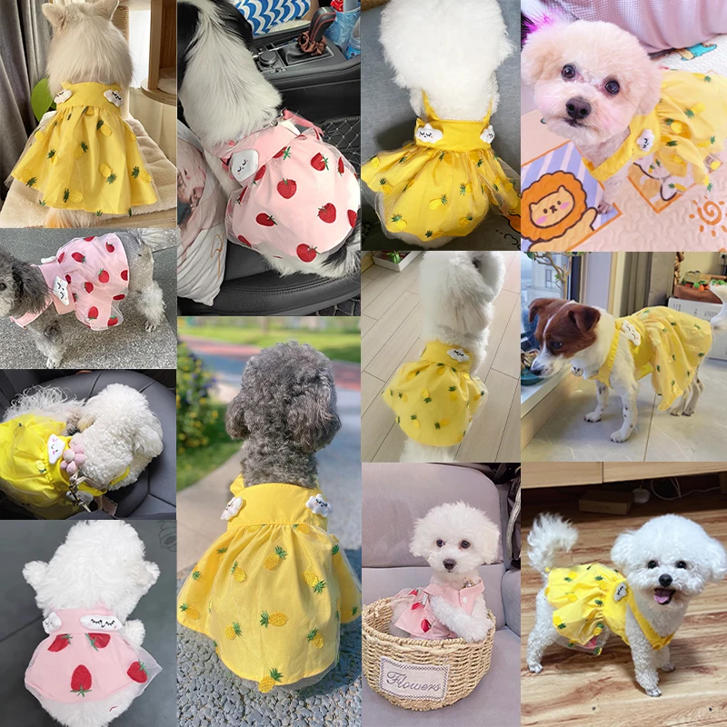 Summer Dog Dress Strawberry Pineapple Print Skirts Cat Sweet Dresses Chihuahua Yorkie Cute Skirts Puppy Clothes Pet Supplies