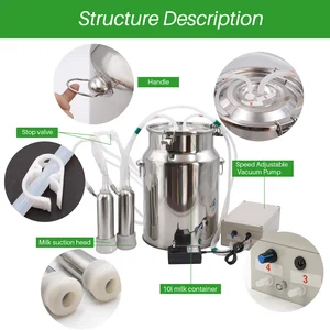 8 en çok satılan ordenhadeira springbok no 8