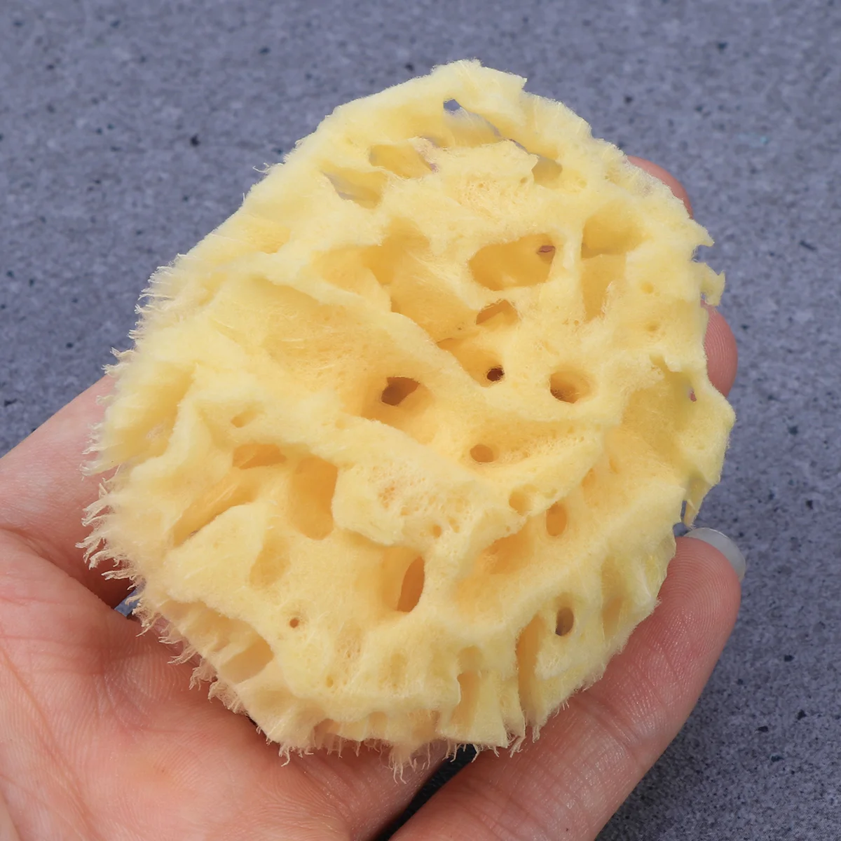 

2pcs/pack Bath Sponges Natural Animal Sponge Honeycomb Wash Sponge Chemical Free Shower Supplies Seaweed Sponge