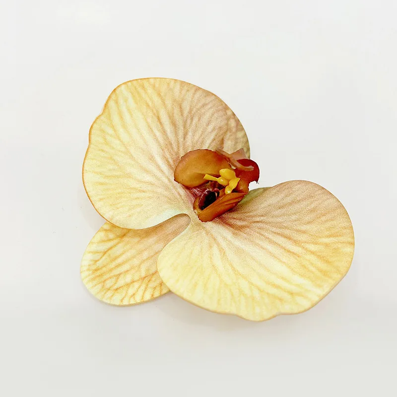 20 Stück Künstliche Silikon-Baumwoll-Schmetterlings-Orchideenköpfe DIY Kopfschmuck Zubehör Geschenkbox Deko Blumen Hochzeit Party Heimdekoration – Detail 10