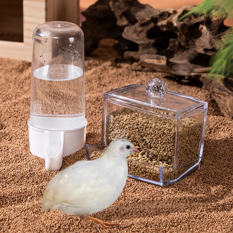Rutin Huhn automatische Futter automat große Kapazität Anti-Kipp-Lebensmittel box Geflügel fütterung