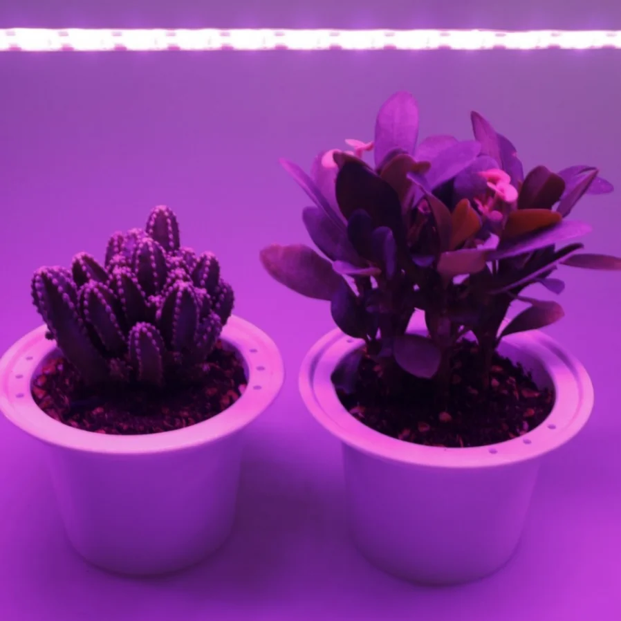 HZZKZZ-Luz LED de espectro completo para cultivo de plantas, lámpara Phyto de espectro completo, DC 5V, 1-5m