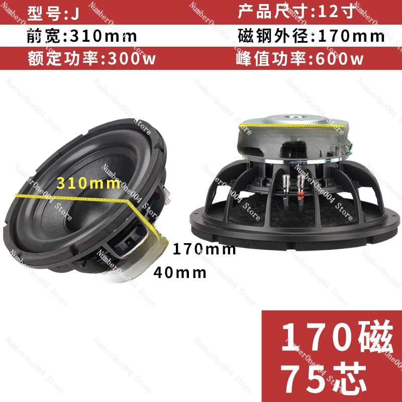 Applicable to 12/15 Inch 18 Inch Subwoofer High Power 220 Magnetic Import Professional