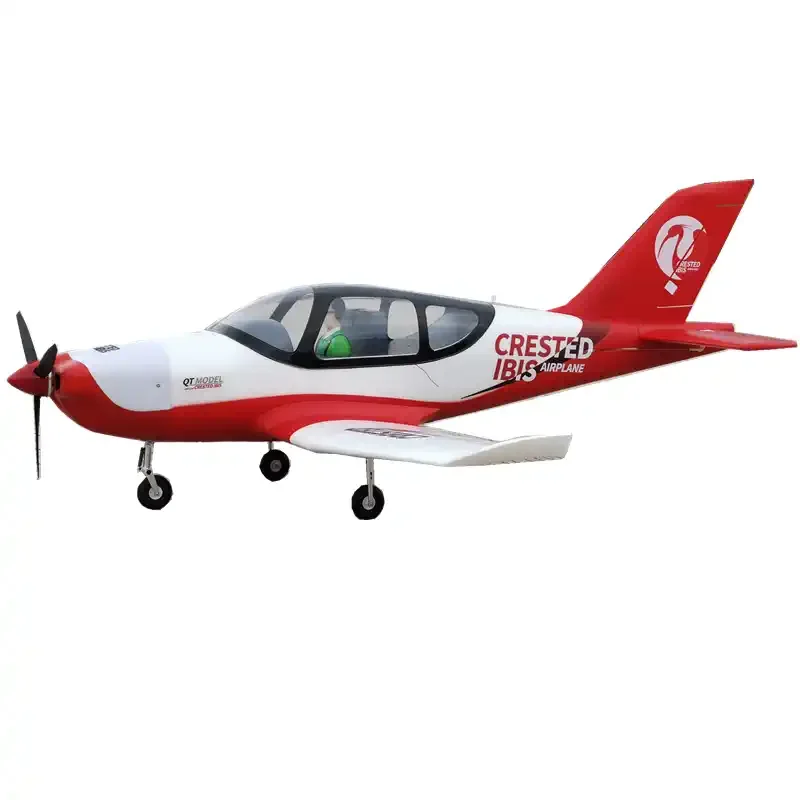 1220mm Wingspan Large Size Amphibious Remote Control Aircraft Model Epo Material Crested Ibis Business Jet Toy Gift