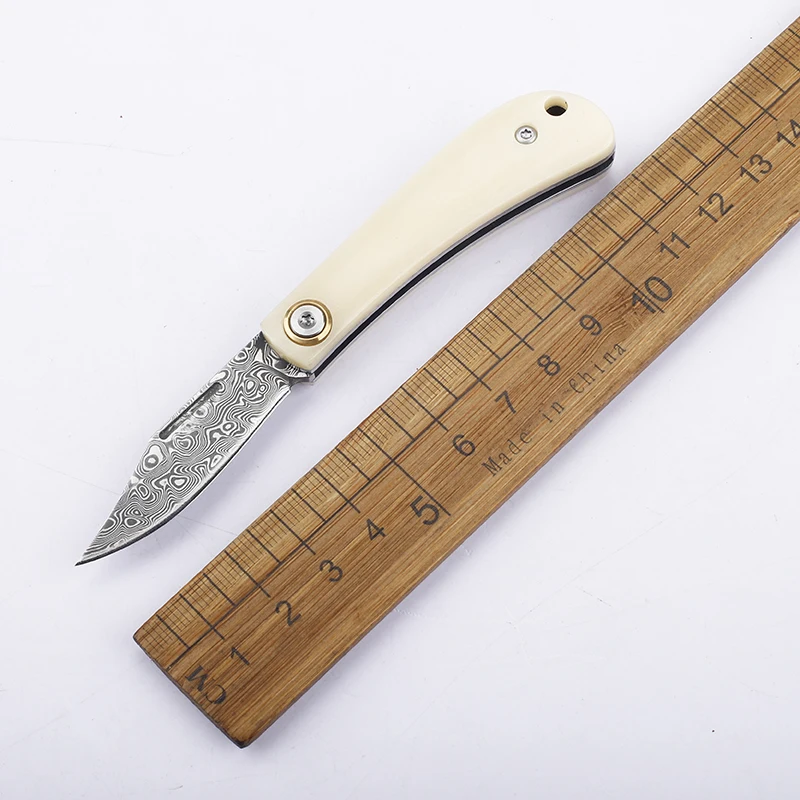 

2025 Mini Pocket VG10 Damascus Steel Bull Bone Handle Portable Camping Fruit Survival Outdoor EDC Knife