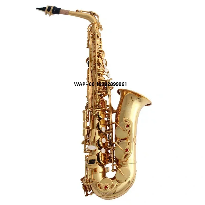 

Beginner E Flat Saxophone Alto Gold Color Lacquered Elbow Saxophone Adult Wholesale