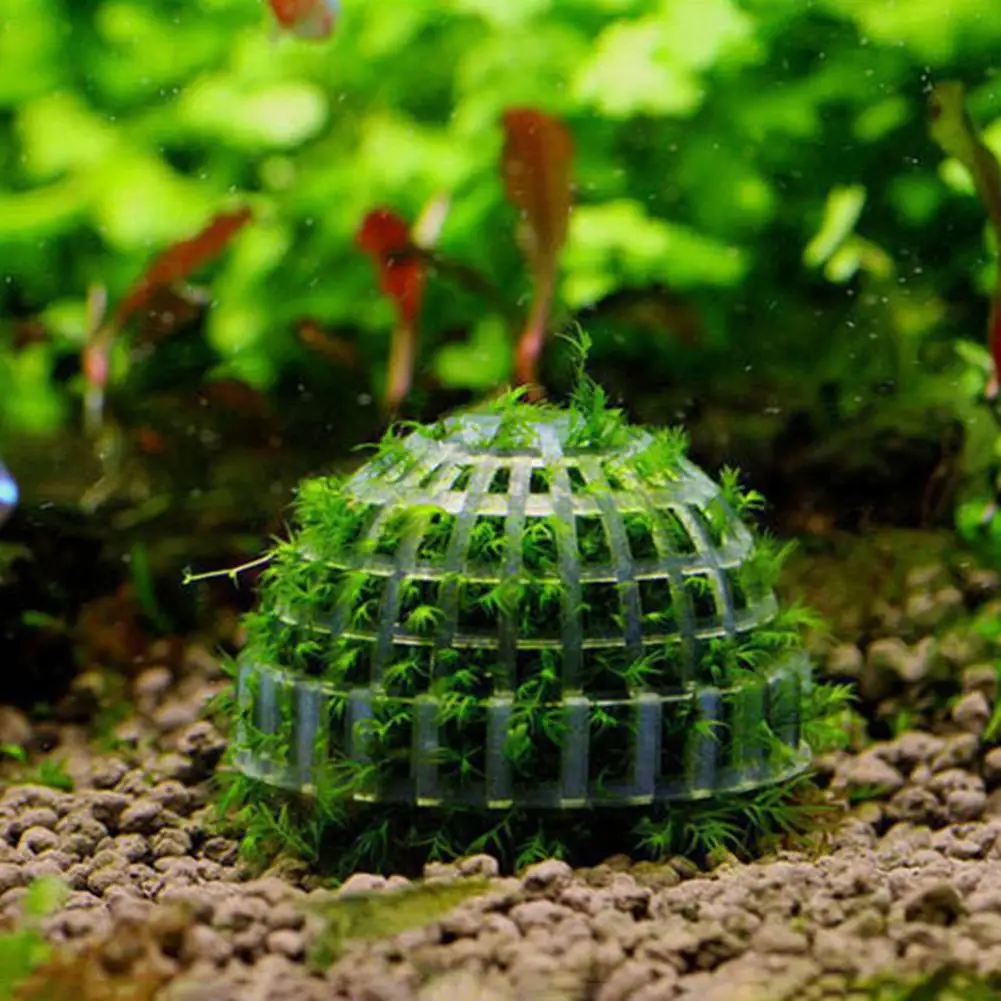 

Moss Hemisphere Colonization Ball Aquarium Shrimp Fish Tank Moss Balls Holder Freshwater Live Plants Shaping Rack with Filter St